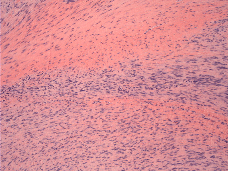 Path Image